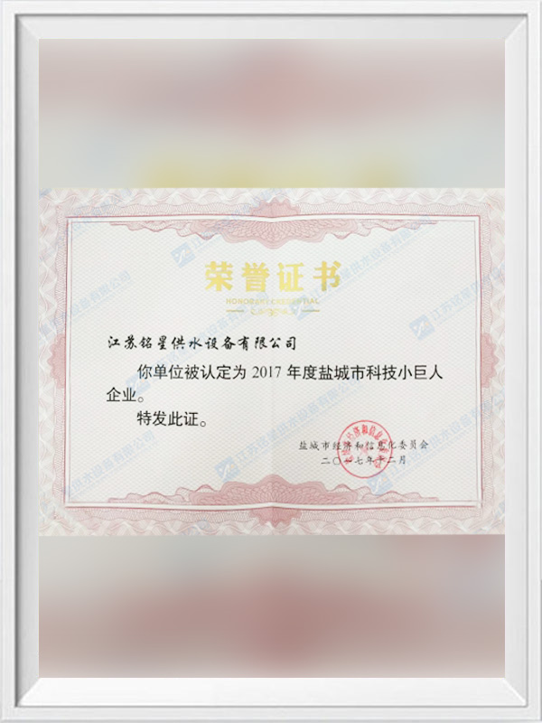 Certificat d'honneur de la petite entreprise géante des sciences et technologies de la ville de Yancheng 2017